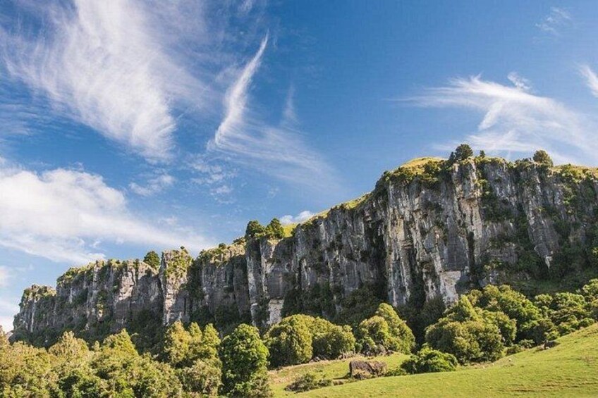 12-Hour LOTR Trollshaws & Waitomo Glowworm Tour 1