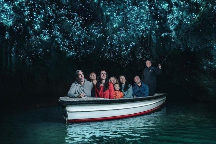 12-Hour LOTR Trollshaws & Waitomo Glowworm Tour 4