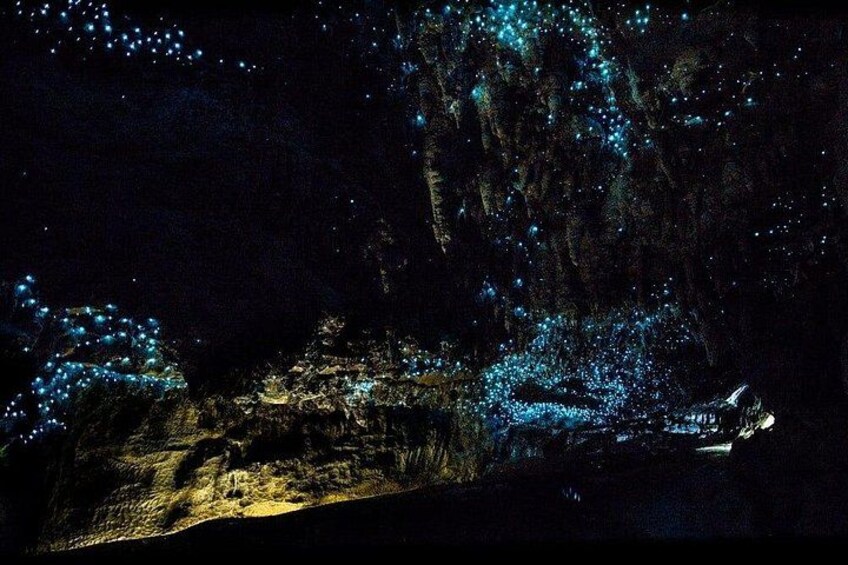 12-Hour LOTR Trollshaws & Waitomo Glowworm Tour 3