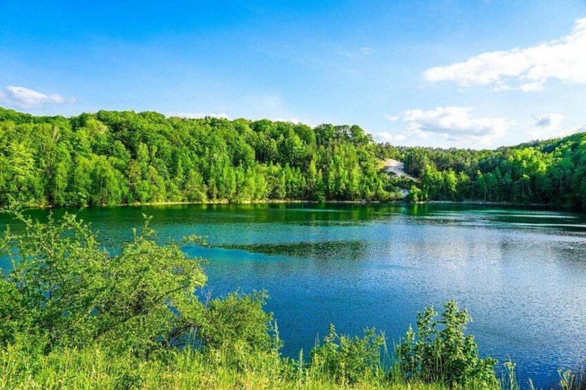 A lake surrounded by dense green forest under a clear blue sky. 5