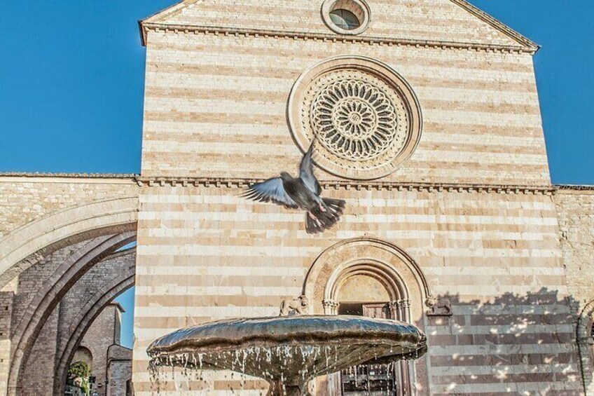 Best tour of Assisi: 3-hours private tour including Basilica