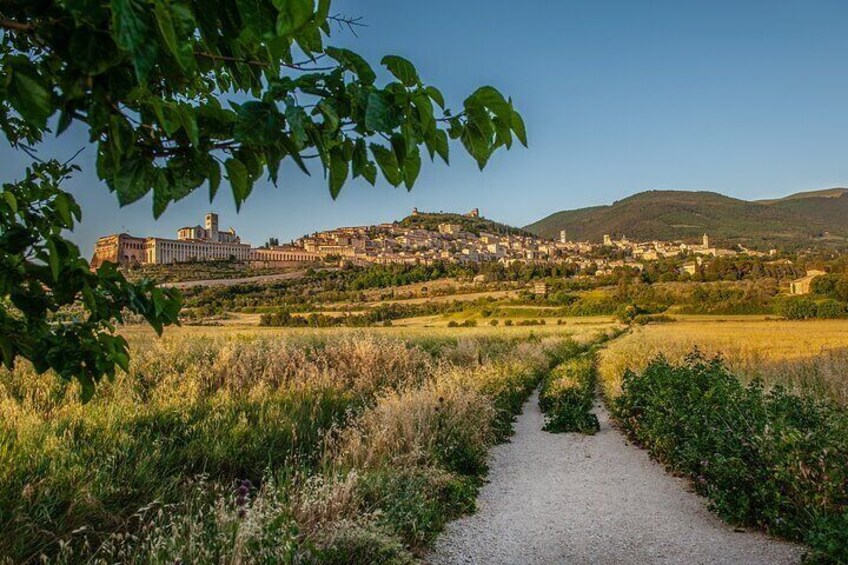 Best tour of Assisi: 3-hours private tour including Basilica