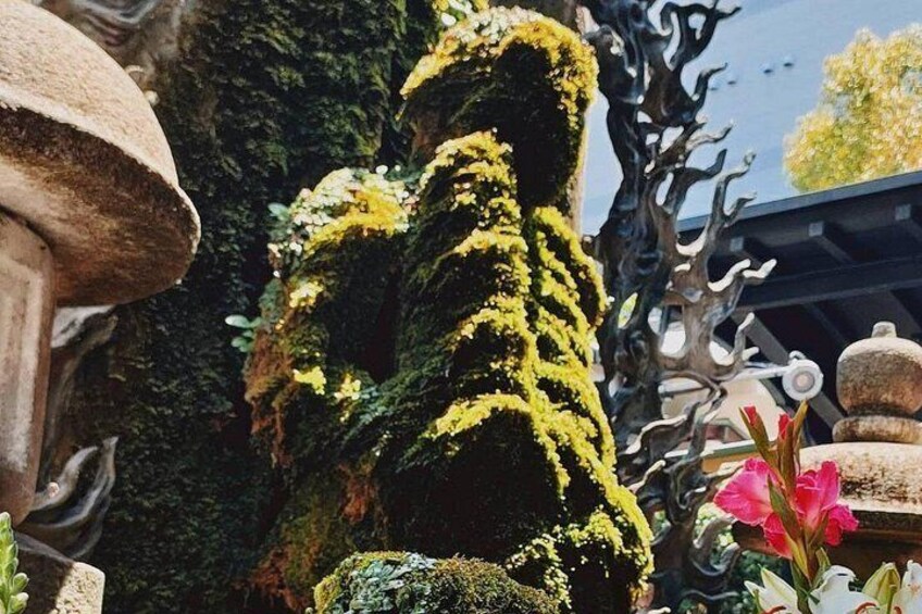 Ultimate Osaka Walking Tour: Castle, Dotonbori, Gems & Lunch 2