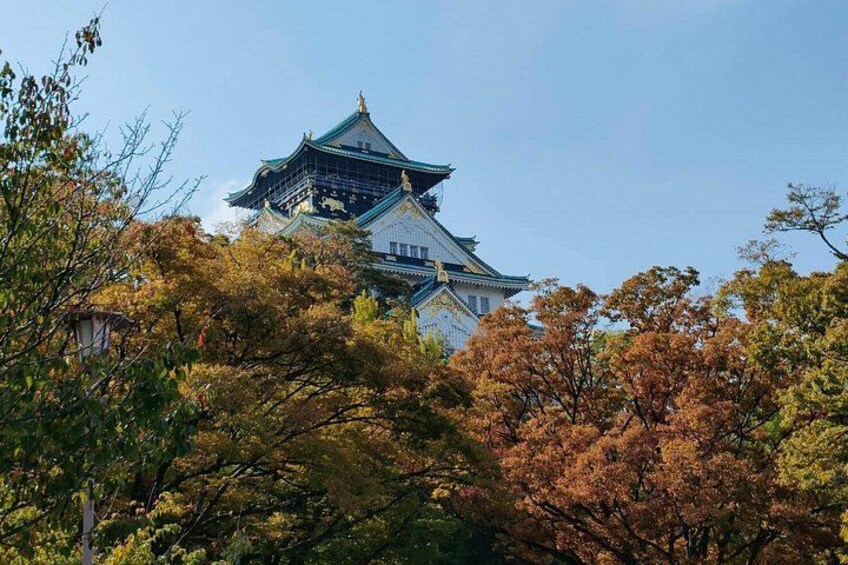 A traditional Japanese castle with a multi-tiered roof, surrounded by autumn-colored trees. 3