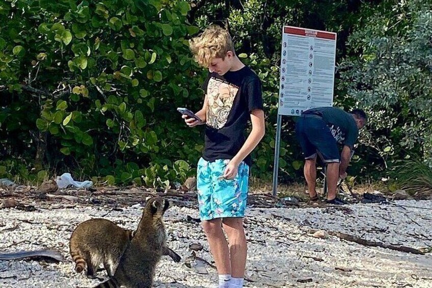 Raccoon, Mangroves & Sandbar Adventure, Water Toys & Snorkel Boat 2