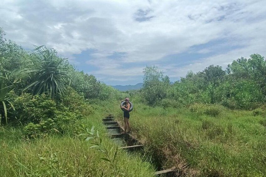 A person walking on a narrow wooden path surrounded by lush greenery and vegetation. 2