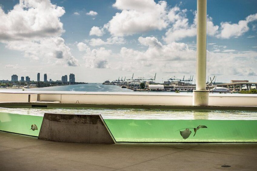 The Vista: Stingray Experience 4