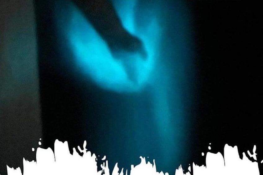 Bioluminescence swim with stars 1
