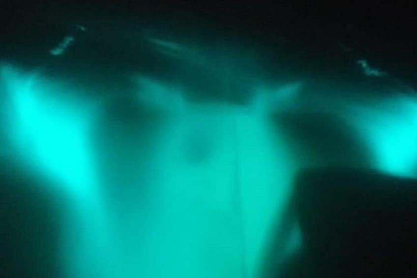 Bioluminescence swim with stars 2