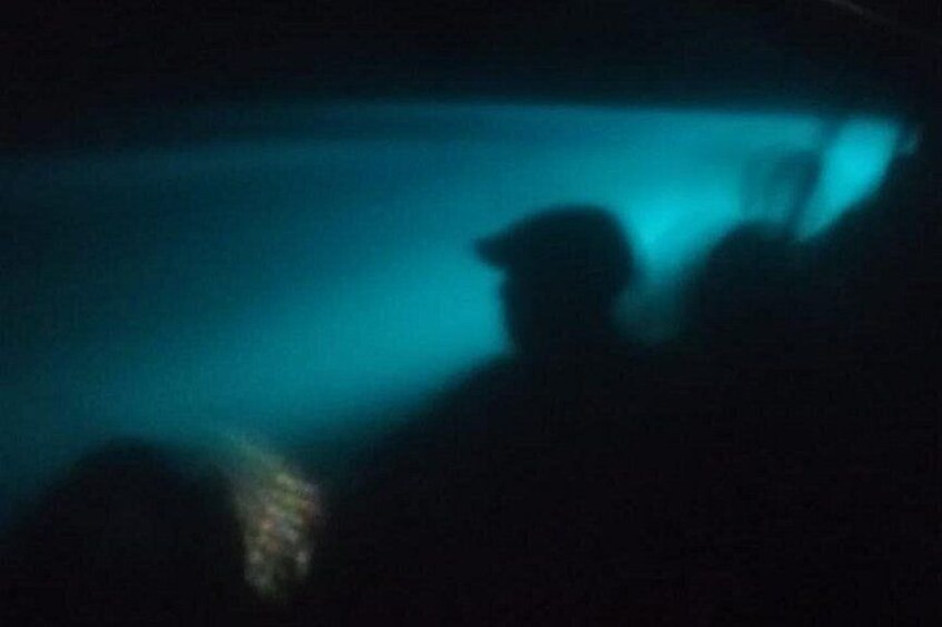 Bioluminescence swim with stars 3
