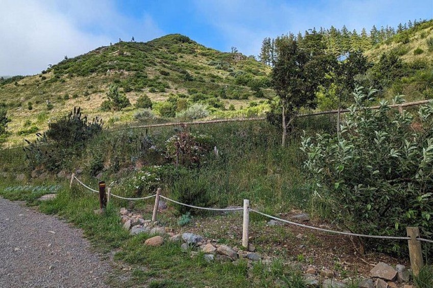 A gravel path, a wooden fence, and a hilly landscape with sparse vegetation. 5