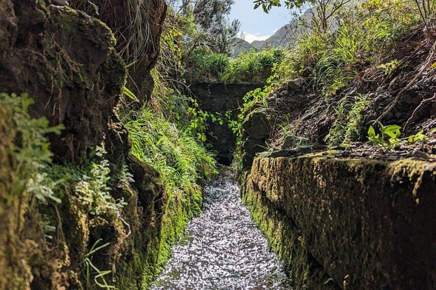 A narrow water channel flanked by moss-covered rocks and dense greenery. 3