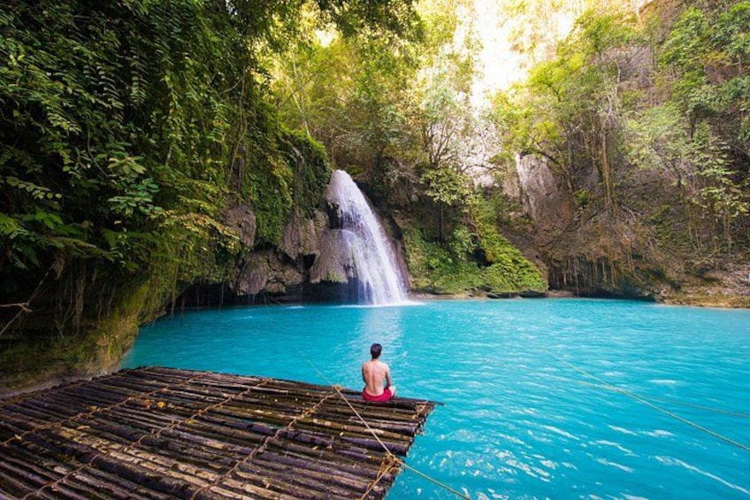 Whale Shark Encounter and Kawasan Falls Canyoneering with Lunch 5