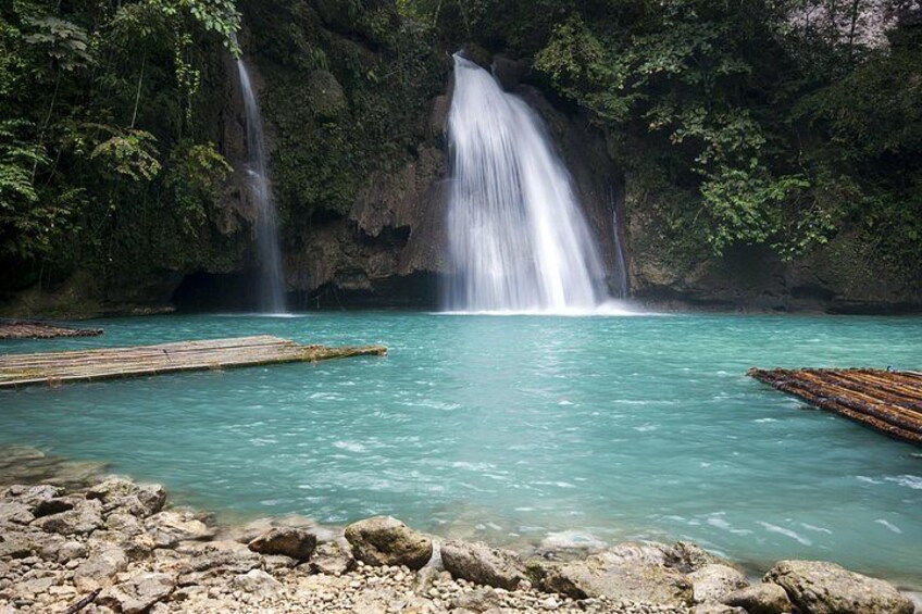 Whale Shark Encounter and Kawasan Falls Canyoneering with Lunch 3