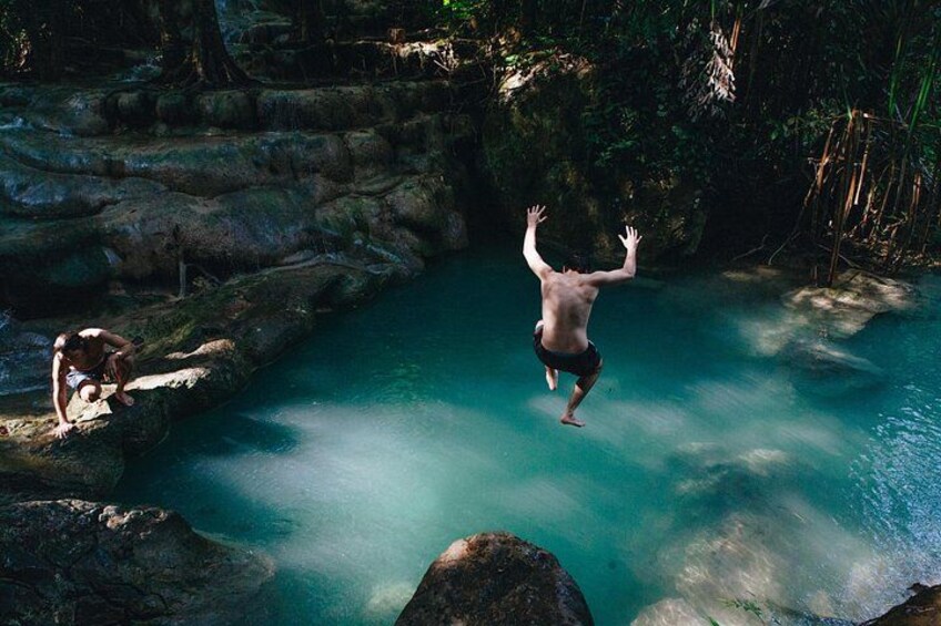 Whale Shark Encounter and Kawasan Falls Canyoneering with Lunch 2