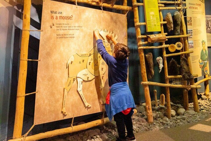 Eine Person interagiert mit einer Ausstellung über Elche, inklusive eines Puzzles und Lernmaterialien. 2