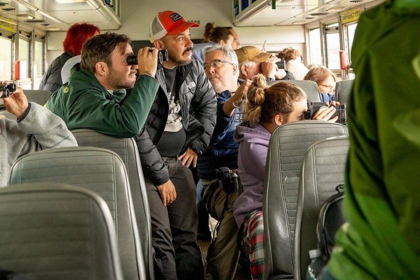 Denali in a Day Sightseeing Package 4