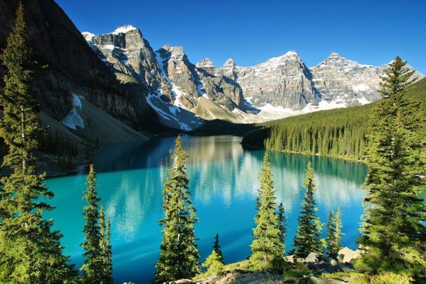 8 Iconic Stops. 12 Comfy Seats. See Banff's Best in First Class. 3