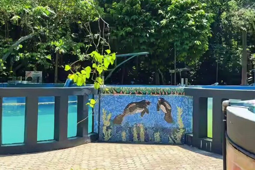 A mosaic mural of two dolphins, a paved walkway, and a tree with yellow leaves. 4