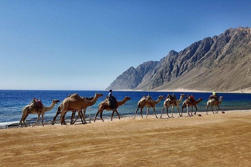 Jeep Adventure to Canyon Salama and Dahab from Sharm El-Sheikh 4
