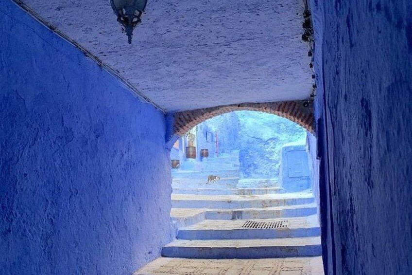 Un couloir aux murs bleus, surmonté d’une arche en briques qui mène à une cour intérieure. 5