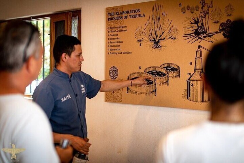 Premium Artisanal Tequila Tasting at El Tasting Room