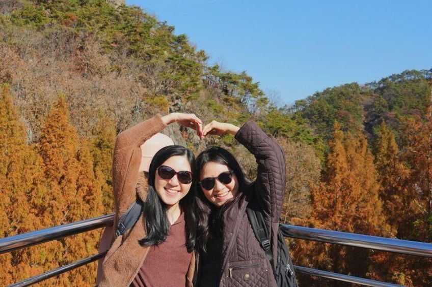 Jeonju Hanok Village Full-Day Tour: Jangtaesan Green Forest 2