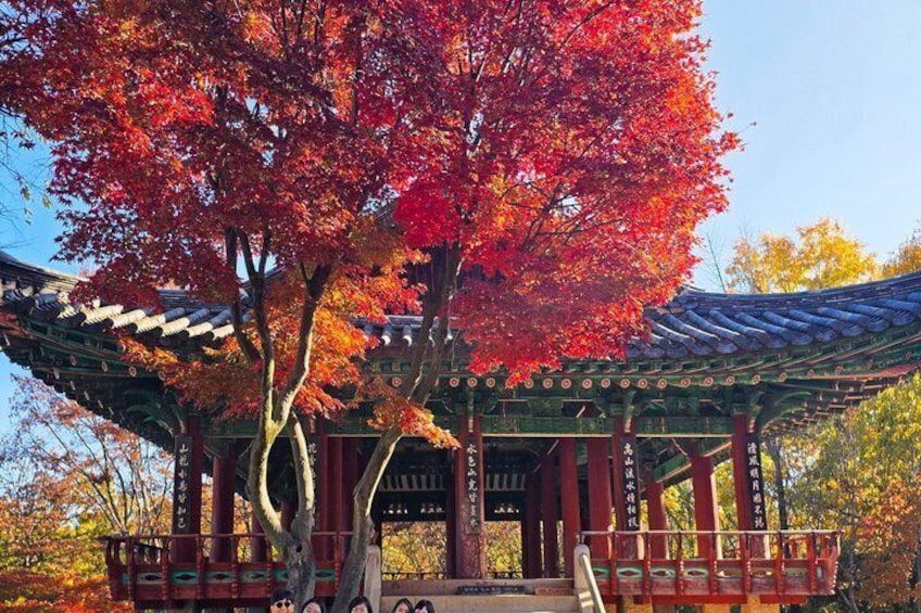 Jeonju Hanok Village Full-Day Tour: Jangtaesan Green Forest 5