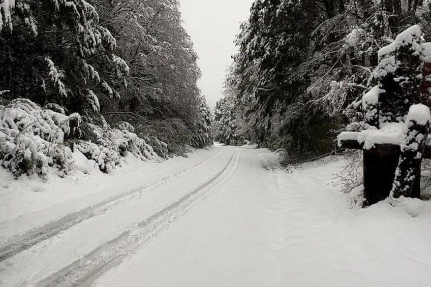 OneWay Journey: from Bariloche, Argentina to Puerto Varas, Chile 4