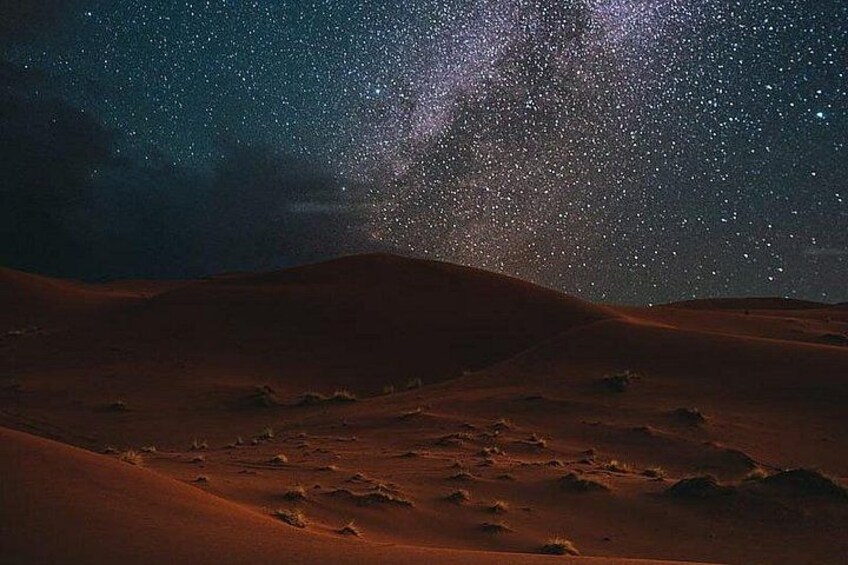 Night Desert Safari, Stargazing, Dune Driving & Inland Sea Visit 4