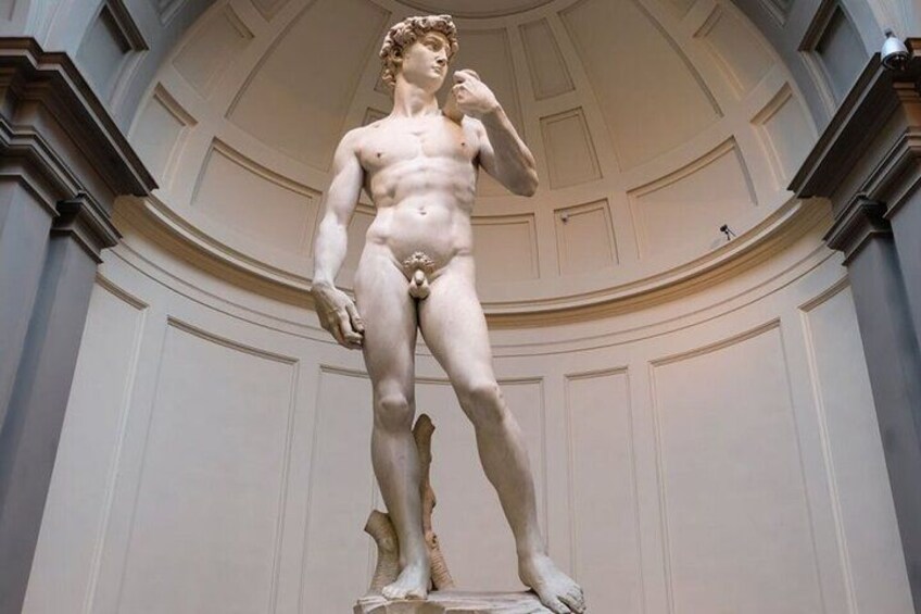 Michelangelo’s David Statue Timed Entry Tickets 1