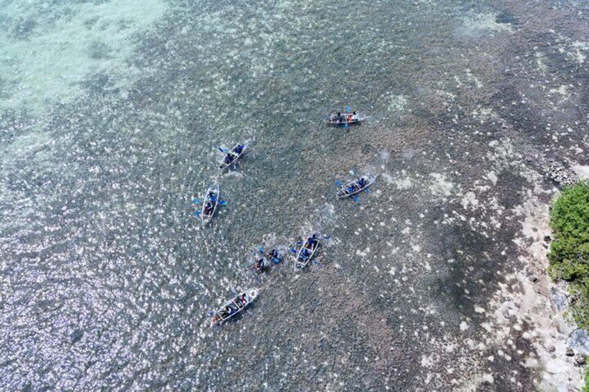 Clear kayak Grand Turk Island Kayak Tour of the mangroves 2