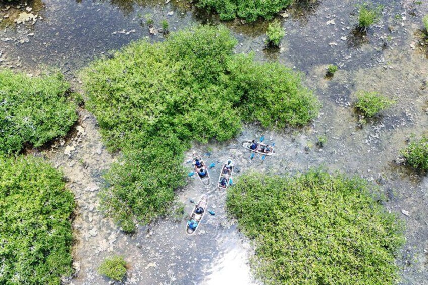 Clear kayak Grand Turk Island Kayak Tour of the mangroves 3