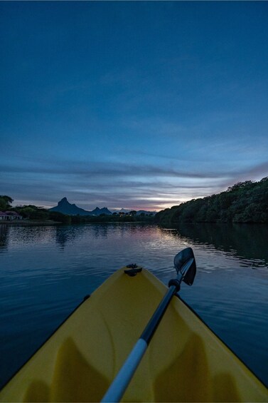 Picture 11 for Activity Mauritius: Guided Sunrise Kayak Tour on the Tamarin River 4