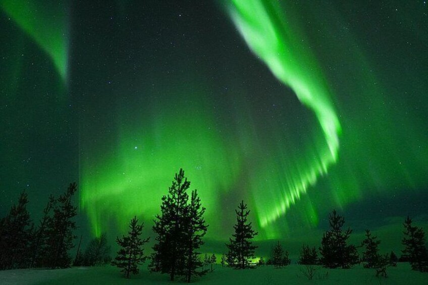 Rovaniemi: Private Aurora Tour with Guaranteed Sightings 3