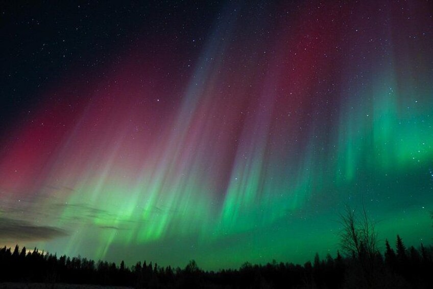 Rovaniemi: Private Aurora Tour with Guaranteed Sightings 4