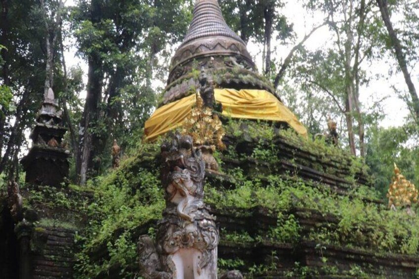 A temple with a golden roof, surrounded by lush greenery and traditional architecture. 3