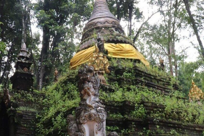 Doi Suthep Temple, Pha Lat Temple, Sticky Waterfall, Orchid farm 3