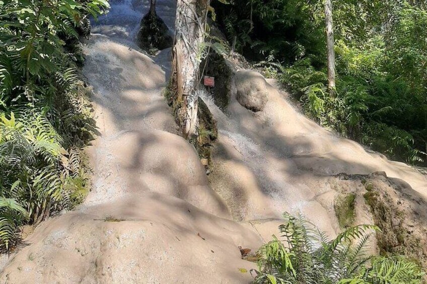 A narrow, rocky path surrounded by dense greenery. 4
