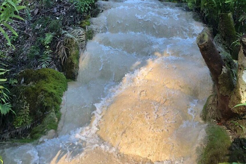 A fast-flowing stream with moss-covered rocks and lush greenery. 2