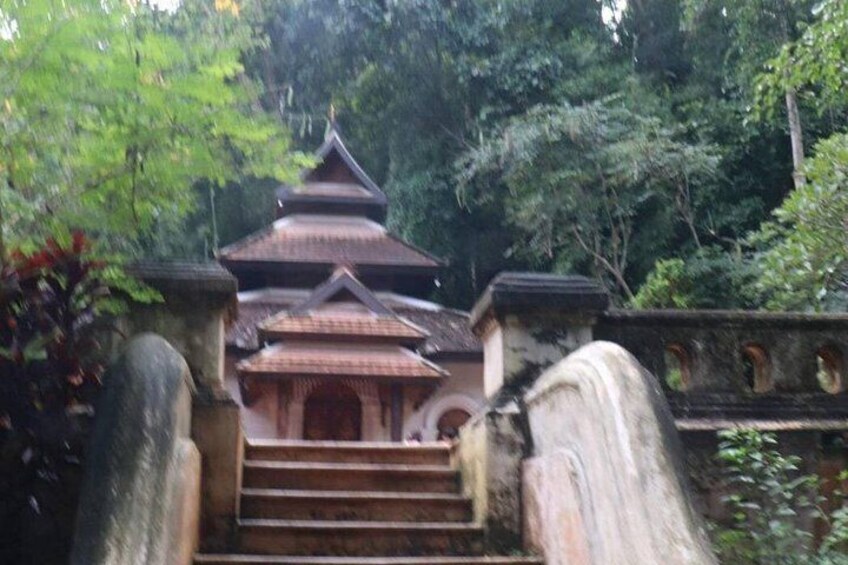 Doi Suthep Temple, Pha Lat Temple, Sticky Waterfall, Orchid farm 4