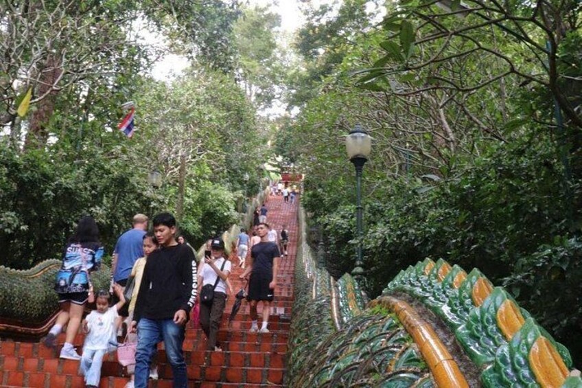 Doi Suthep Temple, Pha Lat Temple, Sticky Waterfall, Orchid farm 2