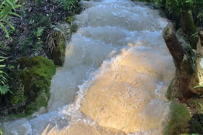 Doi Suthep Temple, Pha Lat Temple, Sticky Waterfall, Orchid farm 2