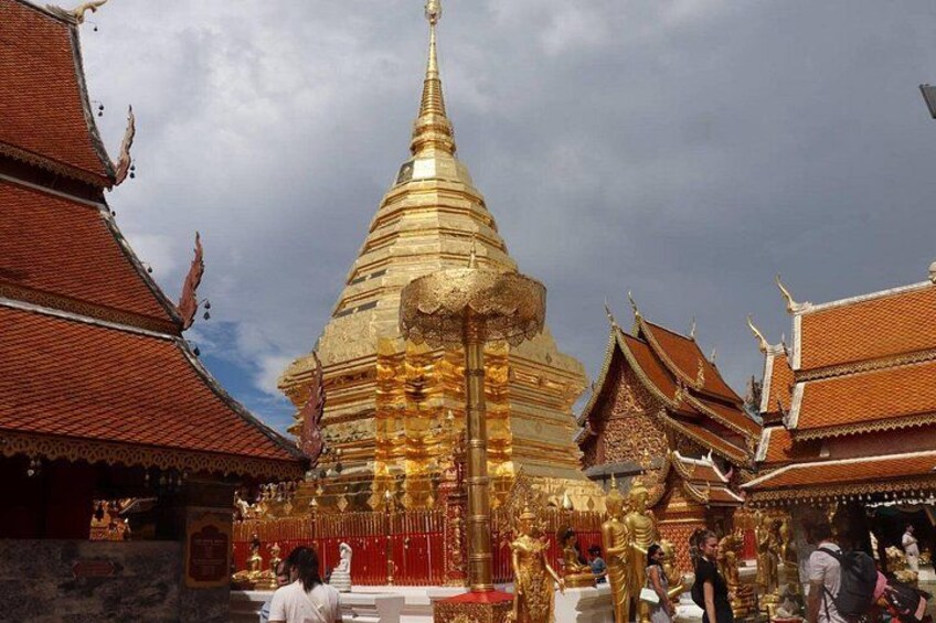 Doi Suthep Temple, Pha Lat Temple, Sticky Waterfall, Orchid farm 3