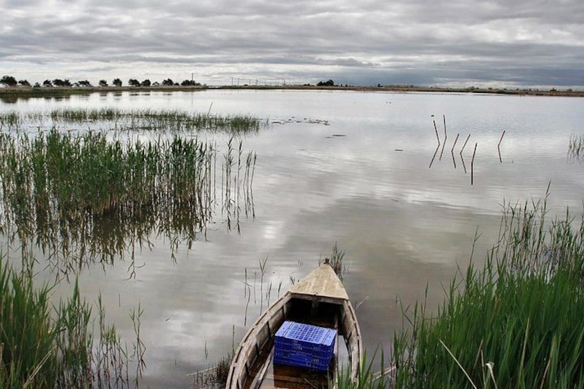 Bird Watching Tour in the Ebro Delta 1