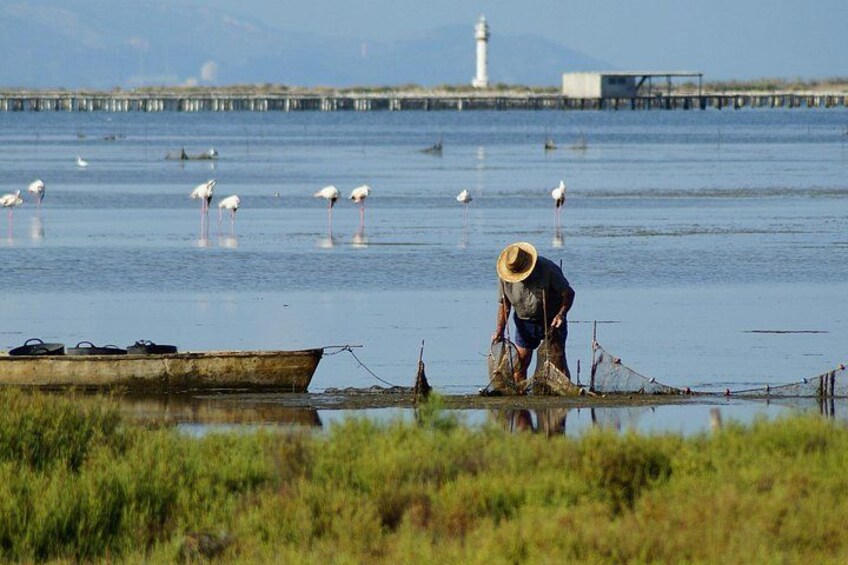 Bird Watching Tour in the Ebro Delta 4