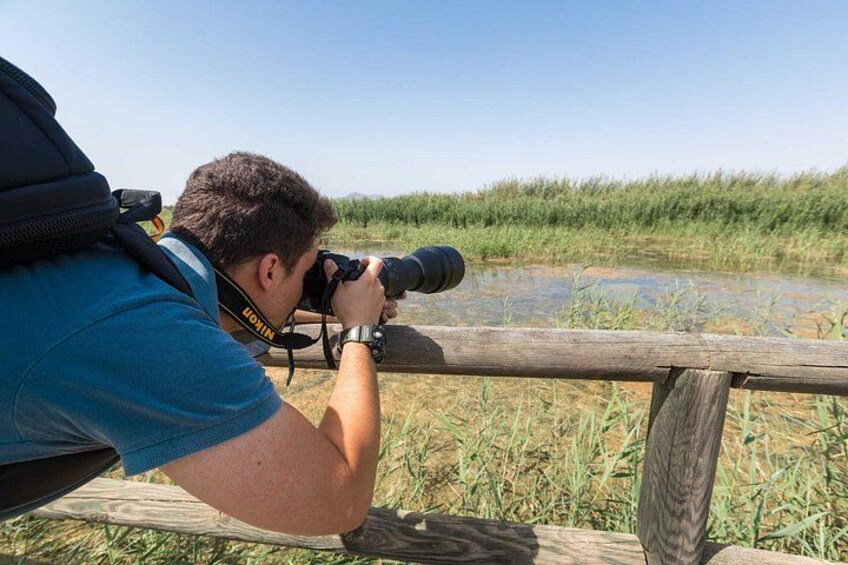 Bird Watching Tour in the Ebro Delta 3