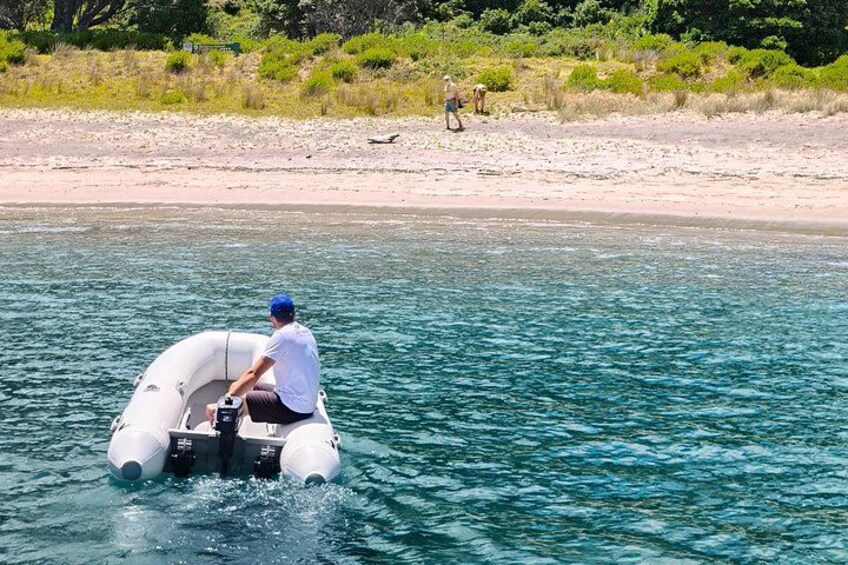 Bay of Islands | Private Sailing Charter 4