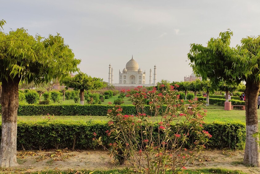 Half-Day Private Agra Tour with Exclusive Taj Mahal Sunset View 5