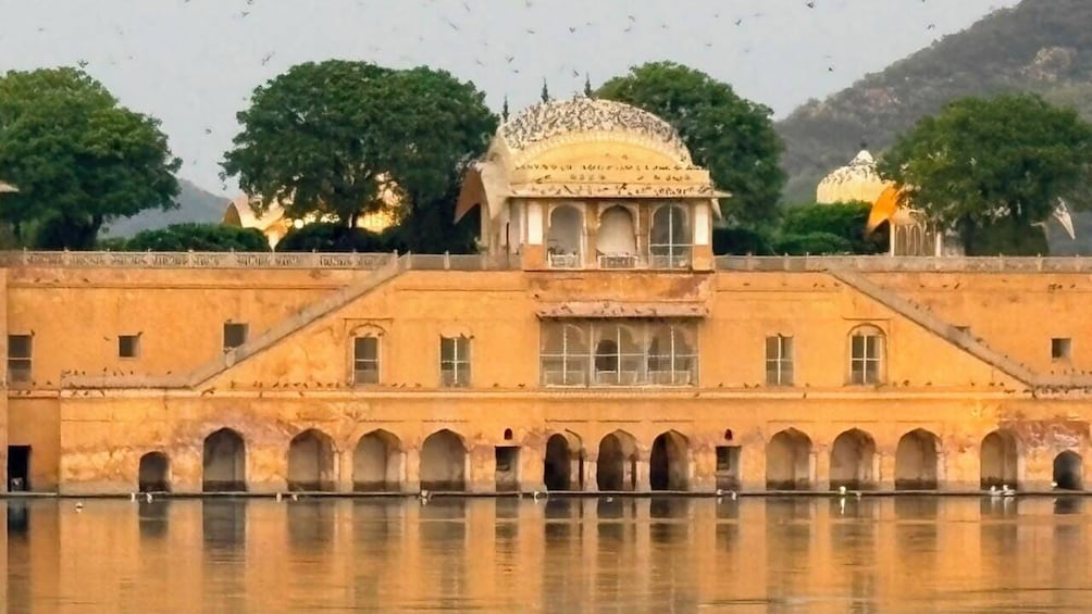 6-Day Private Golden Triangle Tour with Ranthambore Tiger Safari 5